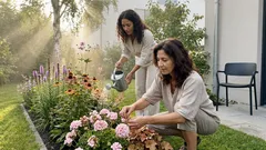 Rosa Staudenbeet planen: 8 Stauden, die bis in den Herbst durchblühen