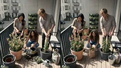 Löwenmäulchen pflanzen: so blühen sie bis in den Herbst