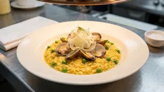 Safran-Risotto mit Venusmuscheln: cremig in Weißwein, mit rohem Fenchel